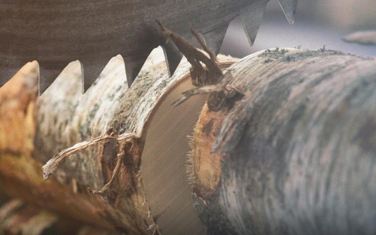 Roundwood volumes in Norway on the rise; prices decline