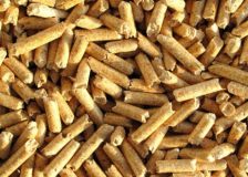Japanese wood pellets imports set new record
