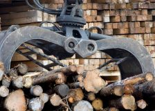 High lumber prices to cover duties imposed by the US on Canadian lumber imports, says Moody’s