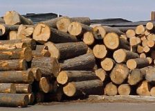 Wood products exports from Vietnam reaches 11.3% rise Q1-Q3 2017
