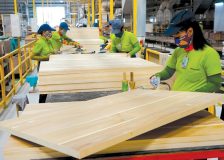 Vietnam’s wood product exports post 50.5% growth in the first four months
