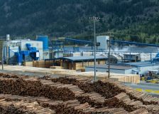 US Northwest sawmills work on building log inventories for the winter season