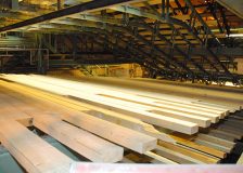 Softwood lumber exports from Belarus to the EU went up by 50%, despite export ban