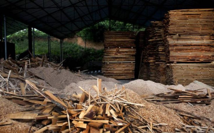 China’s total forestry output might surpass 7 trillion RMB in 2017
