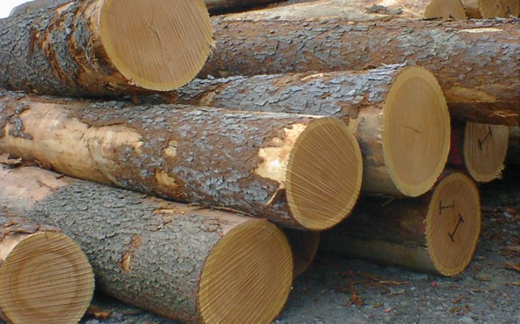 Oak lumber restrictions lifted in Croatia