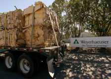 Weyerhaeuser’s CEO to resign in 2019