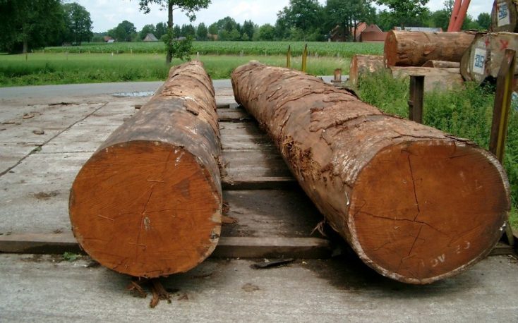 Weaker logs demand in the EU keeps low prices in Central and West Africa