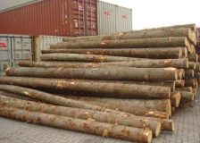 Falling roundwood prices in Finland