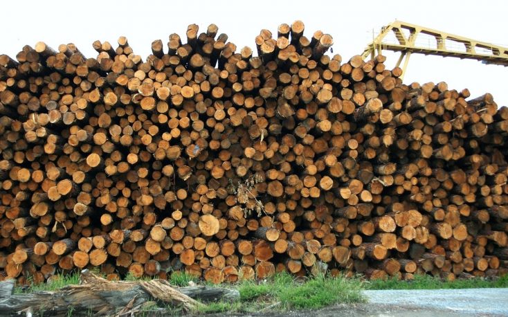 Energetic use of wood: is the criticism justified?
