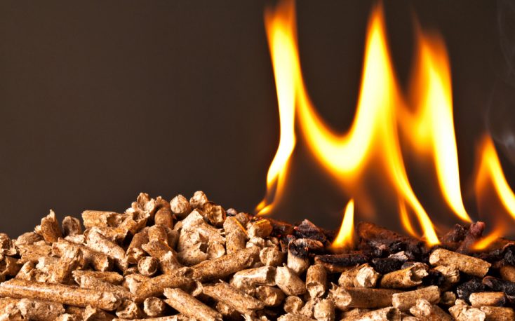 Brussels aims to tighten rules on burning wood pellets