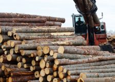 Is there a shortage of wood in Europe?