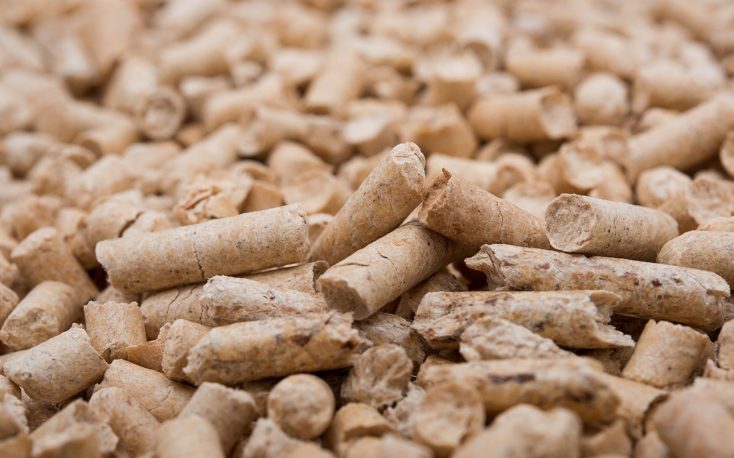 Pellet prices on the rise in Germany
