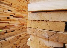 US softwood lumber demand from Canada forecast to stay high