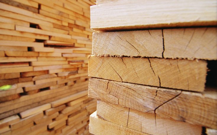 Special year for the Dutch wood industry