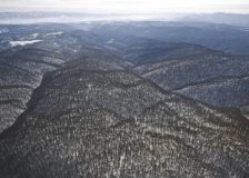 Schweighofer sells all Romanian forests assets