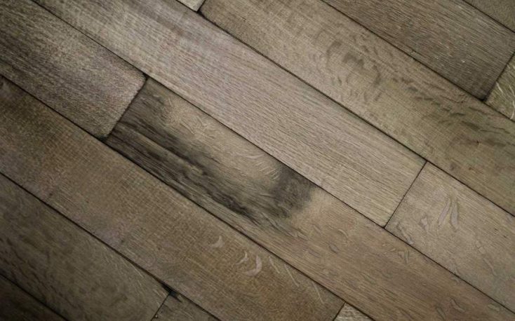 Wood supply shortage expected to hit European markets in the coming months