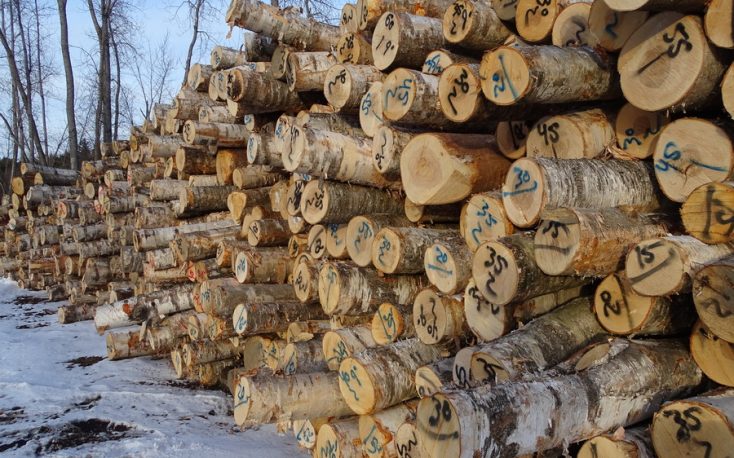 Global sawlog prices keep on decreasing during Q3/2018