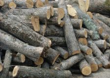 Firewood shortages in France are pushing up the price of logs