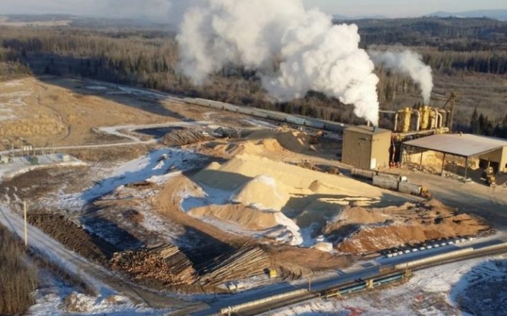Pinnacle Renewable Holdings starts to exports wood pellets to Japan