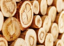 Global pulp industry goes through prices decline