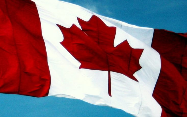 Canadian forestry companies experience great growth, as share prices increase
