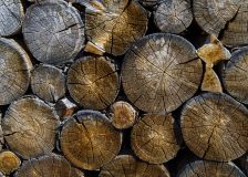 Oak market in EU countries is under a lot of tension