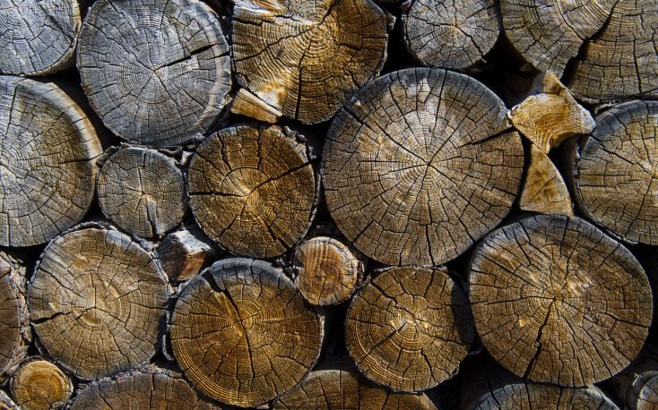 Oak market in EU countries is under a lot of tension