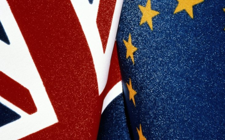 EU wood product exporters struggle to respond to UK due diligence requests
