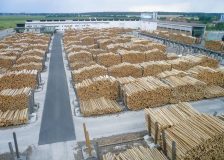 Prosecutors in Romania investigate Holzindustrie Schweighofer for alleged illegal logging activities