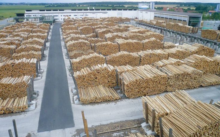 Prosecutors in Romania investigate Holzindustrie Schweighofer for alleged illegal logging activities