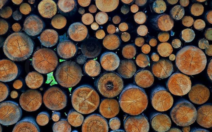 Roundwood prices in Finland mostly up in April