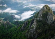 China plants huge forest the size of France