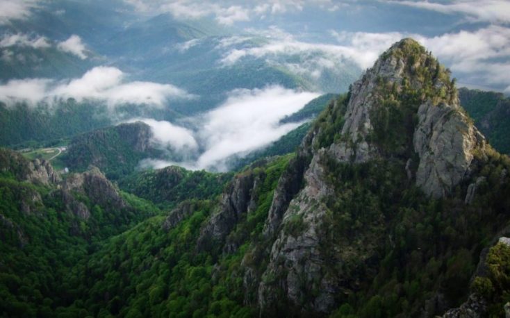 China plants huge forest the size of France