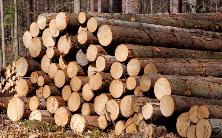 Finnish log prices fall in June