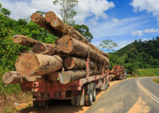 European timber operations in Africa move to Asia