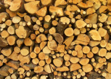 North American pulpwood prices increased during the 1Q/19
