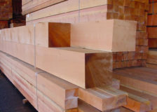 Pessimistic forecasts for Malaysian wood products industry