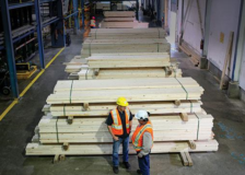 Conifex considers asset divestment and restructuring plan in its lumber segment