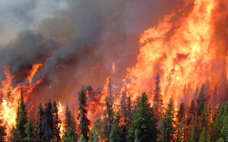 N. American lumber prices surge sharply as Canada wildfires cut sawmills production