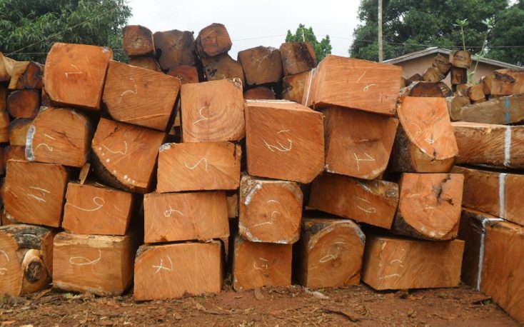 Wood products exports from Vietnam amount to US$5 billion in January-July 2018
