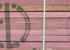 Timberlink wants to invest massively at its sawmills in Australia