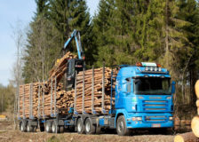 The EU wants to begin trade arbitration with Ukraine to lift timber exports moratorium