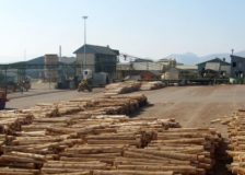 China plans a US$ 1.5 billion timber processing complex in Russia