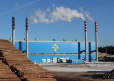 ULK Group to start construction of its mega sawmill in Russia this month