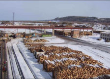 Russian timber industry under pressure due to mild winter