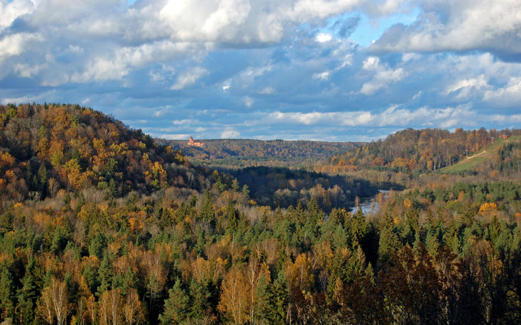 Bad prospects in the German and Austrian forests due to calamities and coronavirus