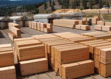 San Group starts construction of a new sawmill in Canada