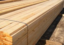 Sanctions against Russian exports to permanently alter the global trade of forest products