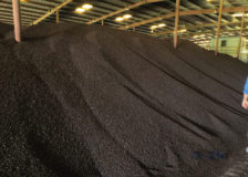 New torrefied wood pellet plant in Estonia