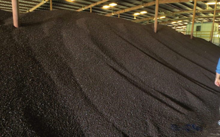 New torrefied wood pellet plant in Estonia